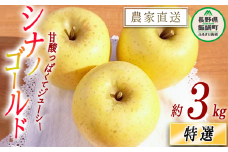 りんご シナノゴールド 特選 3kg やまじゅうファーム 沖縄県への配送不可 2025年11月上旬頃から2025年11月下旬頃まで順次発送予定 令和7年度収穫分 信州の環境にやさしい農産物 減農薬栽培 長野県 飯綱町 [0854]