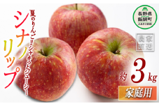 りんご シナノリップ 家庭用 3kg 丸山りんご園 沖縄県への配送不可 2025年8月中旬頃から2025年9月上旬頃まで順次発送予定 令和7年度収穫分 信州 果物 フルーツ リンゴ 林檎 長野 11000円 予約 農家直送 長野県 飯綱町 [0705]
