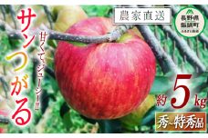 りんご サンつがる 秀 ～ 特秀 5kg 中村ファーム 沖縄県への配送不可 2025年9月上旬頃から2025年9月中旬頃まで順次発送予定 令和7年度収穫分 長野県 飯綱町 [0857]