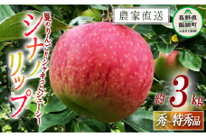 りんご シナノリップ 秀 ～ 特秀 3kg サイズおまかせ 井澤農園 沖縄県への配送不可 2025年8月中旬頃から2025年9月上旬頃まで順次発送予定 令和7年度収穫分 エコファーマー認定 減農薬栽培 化学肥料不使用 信州 果物 フルーツ リンゴ 林檎 長野 15000円 予約 農家直送 長野県 飯綱町 [0873]