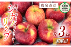 りんご シナノリップ 家庭用 3kg サイズおまかせ 井澤農園 沖縄県への配送不可 2025年8月中旬頃から2025年9月上旬頃まで順次発送予定 令和7年度収穫分 エコファーマー認定 減農薬栽培 化学肥料不使用 信州 果物 フルーツ リンゴ 林檎 長野 11500円 予約 農家直送 長野県 飯綱町 [0874]