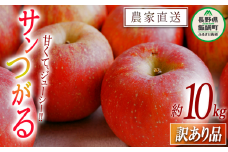 りんご サンつがる 訳あり 10kg 中村ファーム 沖縄県への配送不可 2025年9月上旬頃から2025年9月中旬頃まで順次発送予定 令和7年度収穫分 長野県 飯綱町 [0859]