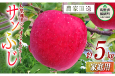 りんご サンふじ 家庭用 5kg 中村ファーム 沖縄県への配送不可 2025年11月下旬頃から2026年3月上旬頃まで順次発送予定 令和7年度収穫分 長野県 飯綱町 [0862]