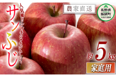 りんご サンふじ 家庭用 5kg 沖縄県への配送不可 2025年12月中旬から2025年12月下旬まで順次発送予定 令和7年度収穫分 静谷りんご園 減農薬栽培 信州の環境にやさしい農産物認証 長野県 飯綱町 [0876]