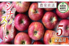 りんご シナノスイート 家庭用 5kg サイズおまかせ 井澤農園 沖縄県への配送不可 2025年10月上旬頃から2025年11月上旬頃まで順次発送予定 令和7年度収穫分 エコファーマー認定 減農薬栽培 化学肥料不使用 信州 果物 フルーツ リンゴ 林檎 長野 13000円 予約 農家直送 長野県 飯綱町 [0884]