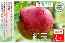 りんご 紅玉 家庭用 4.5kg 松澤農園 沖縄県への配送不可 2025年9月下旬頃から2025年10月上旬頃まで順次発送予定 令和7年度収穫分 長野県 飯綱町 [0888]