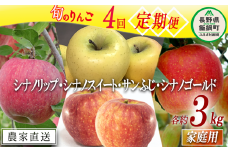 季節のりんご 【 定期便 】 家庭用 3kg × 4回 大友農場 エコファーマー認定 沖縄県への配送不可 2025年8月中旬頃から2026年1月中旬頃まで順次発送予定 令和7年度収穫分 信州 果物 フルーツ リンゴ 林檎 長野 予約 農家直送 長野県 飯綱町 [0891]