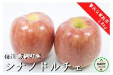 りんご シナノドルチェ 贅沢な家庭用2.8kg 【令和4年度収穫分】 ※沖縄および離島への配送不可 ※2022年9月下旬頃から順次発送予定 信州りんご☆小山園☆ エコファーマー認定 長野県飯綱町 [0688]