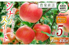 りんご シナノスイート 家庭用 〜 訳あり 5kg 増田ファーム 沖縄県への配送不可 2025年10月上旬頃から2025年11月上旬頃まで順次発送予定 令和7年度収穫分 信州 果物 フルーツ リンゴ 林檎 長野 予約 農家直送 長野県 飯綱町 [0903]