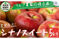 ＼農家応援企画／ 【令和7年度先行予約返礼品】 りんご シナノスイート 家庭用 訳あり 5kg 2025年 先行予約 《 スイート リンゴ 林檎 訳アリ わけあり 不揃い 果物 くだもの フルーツ 長野県産 長野 信州 お試し 》 令和7年度収穫分 2025年10月上旬頃から11月上旬頃まで順次発送予定 長野県 飯綱町 [0902]