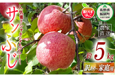 りんご 葉とらず サンふじ 訳あり 5kg 米澤農園 沖縄県への配送不可 2024年11月下旬頃から2024年12月下旬頃まで順次発送予定 令和6年度収穫分 傷 不揃い リンゴ 林檎 果物 フルーツ ふじ 信州 長野 13500円 予約 農家直送 長野県 飯綱町 [0901]