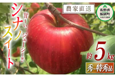 りんご シナノスイート 秀 ～ 特秀 5kg 中村ファーム 沖縄県への配送不可 2025年10月中旬頃から2025年11月上旬頃まで順次発送予定 令和7年度収穫分 長野県 飯綱町 [0904]