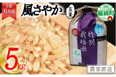 【令和6年度産】長野県飯綱町の黒川米【玄米】風さやか5kg　発送：2024年11月より順次発送予定　なかまた農園　沖縄県への配送不可　特別栽培米 [0918]