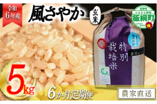 【令和6年度産】長野県飯綱町の黒川米【玄米】風さやか5kg【6カ月定期便】  発送：2024年11月より順次発送予定　なかまた農園　沖縄県への配送不可　特別栽培米 [0920]