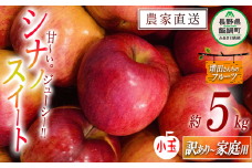 りんご シナノスイート 家庭用 〜 訳あり ( 小玉 ) 5kg 増田ファーム 沖縄県への配送不可 2025年10月上旬頃から2025年11月上旬頃まで順次発送予定 令和7年度収穫分 信州 果物 フルーツ リンゴ 林檎 長野 予約 農家直送 長野県 飯綱町 [0938]