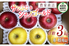 りんご 蜜入り サンふじ ＆ シナノゴールド 味比べ セット 秀 ～ 特秀 合計 3kg サイズおまかせ 詰め合わせ 井澤農園 沖縄県への配送不可 2025年11月中旬頃から2026年1月下旬頃まで順次発送予定 令和7年度収穫分 エコファーマー認定 減農薬栽培 化学肥料不使用 信州 果物 フルーツ リンゴ 林檎 長野 16000円 予約 農家直送 長野県 飯綱町 [0936]