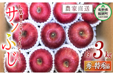 りんご 蜜入り サンふじ 秀 ～ 特秀 3kg サイズおまかせ 井澤農園 沖縄県への配送不可 2025年11月中旬頃から2026年1月下旬頃まで順次発送予定 令和7年度収穫分 エコファーマー認定 減農薬栽培 化学肥料不使用 信州 果物 フルーツ リンゴ 林檎 長野 16000円 予約 農家直送 長野県 飯綱町 [0937]