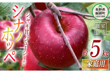 りんご シナノホッペ 家庭用 5kg ファームトヤ 沖縄県への配送不可 2025年11月上旬頃から2025年11月下旬頃まで順次発送予定 令和7年度収穫分 信州 果物 フルーツ リンゴ 林檎 長野 15000円 予約 農家直送 長野県 飯綱町 [0945]