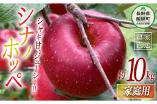 りんご シナノホッペ 家庭用 10kg ファームトヤ 2025年11月上旬頃から2025年11月下旬頃まで順次発送予定 令和7年度収穫分 信州 果物 フルーツ リンゴ 林檎 長野 25000円 予約 農家直送 長野県 飯綱町 [0946]