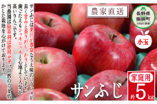 りんご サンふじ ( 小玉 ) 家庭用 5kg 松澤農園 沖縄県への配送不可 2025年11月下旬頃から2026年2月下旬頃まで順次発送予定 令和7年度収穫分 長野県 飯綱町 [0717]