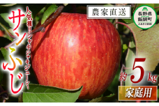 りんご サンふじ 家庭用 5kg マルカズりんご農園 沖縄県への配送不可 2025年11月下旬頃から2025年12月下旬頃まで順次発送予定 令和7年度収穫分 信州 果物 フルーツ リンゴ 林檎 長野 14000円 予約 農家直送 長野県 飯綱町 [0951]