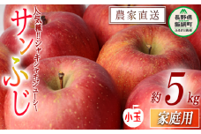 りんご サンふじ ( 小玉 ) 家庭用 5kg 中村ファーム 沖縄県への配送不可 2025年11月下旬頃から2026年3月上旬頃までお申込み順に発送予定 令和7年度収穫分 長野県 飯綱町 [0863]