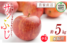 りんご サンふじ 家庭用 ( 小玉 ) 5kg マルカズりんご農園 沖縄県への配送不可 2025年11月下旬頃から2026年2月上旬頃まで順次発送予定 令和7年度収穫分 信州 果物 フルーツ リンゴ 林檎 長野 12000円 予約 農家直送 長野県 飯綱町 [0952]