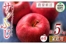 りんご サンふじ ( 小玉 ) 家庭用 5kg ヒライ農園 沖縄県への配送不可 2025年12月上旬頃から2025年12月下旬頃まで順次発送予定 令和7年度収穫分 信州の環境にやさしい農産物認証 減農薬栽培 長野県 飯綱町 [0700]