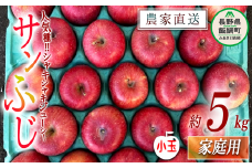 りんご 蜜入り サンふじ 家庭用 ( 小玉 ) 5kg サイズおまかせ 井澤農園 沖縄県への配送不可 2025年12月旬中旬頃から2026年1月下旬頃まで順次発送予定 令和7年度収穫分 エコファーマー認定 減農薬栽培 化学肥料不使用 信州 果物 フルーツ リンゴ 林檎 長野 13500円 予約 農家直送 長野県 飯綱町 [0964]