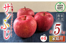 りんご サンふじ 家庭用 ( 小玉 ) 5kg ヤマハチ農園 沖縄県への配送不可 2025年12月上旬頃から2026年1月上旬頃まで順次発送予定 令和7年度収穫分 BLOF理論栽培 信州 果物 フルーツ リンゴ 林檎 長野 12000円 予約 農家直送 長野県 飯綱町 [0663]
