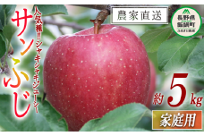 りんご サンふじ 家庭用 5kg ヒライ農園 沖縄県への配送不可 2025年12月上旬頃から2025年12月下旬頃まで順次発送予定 令和7年度収穫分 信州の環境にやさしい農産物認証 減農薬栽培 長野県 飯綱町 [0986]