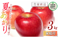 りんご 夏あかり 家庭用 3kg マルカズりんご農園 沖縄県への配送不可 2025年8月中旬頃から2025年8月下旬頃まで順次発送予定 令和7年度収穫分 信州 果物 フルーツ リンゴ 林檎 長野 12000円 予約 農家直送 長野県 飯綱町 [0989]