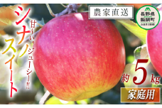 りんご シナノスイート 家庭用 5kg マルカズりんご農園 沖縄県への配送不可 2025年10月中旬頃から2025年10月下旬頃まで順次発送予定 令和7年度収穫分 信州 果物 フルーツ リンゴ 林檎 長野 12000円 予約 農家直送 長野県 飯綱町 [0991]