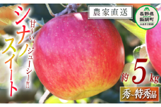 りんご シナノスイート 秀 ～ 特秀 5kg マルカズりんご農園 沖縄県への配送不可 2025年10月中旬頃から2025年10月下旬頃まで順次発送予定 令和7年度収穫分 信州 果物 フルーツ リンゴ 林檎 長野 16000円 予約 農家直送 長野県 飯綱町 [0990]