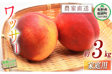ワッサー 家庭用 3kg 配送先は本州限定 2025年8月上旬～2025年9月中旬頃まで順次発送予定　町田さんちのフルーツ 17000円 長野県 飯綱町 [0994]