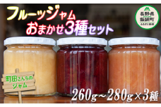 ジャム フルーツジャム 3種 約260～280g × 3瓶 種類おまかせ 沖縄県への配送不可 町田さんちのジャム 長野県 飯綱町 [0992]