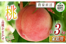 桃 家庭用 3kg （品種おまかせ） 配送先は本州限定 日時指定不可 2025年8月上旬頃から2025年9月上旬頃まで順次発送予定 町田さんちのフルーツ もも モモ 17000円 長野県 飯綱町 [0995]