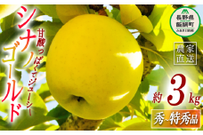 りんご シナノゴールド 秀 ～ 特秀 3kg 丸山りんご園 沖縄県への配送不可 2025年11月上旬頃から2025年12月上旬頃まで順次発送予定 令和7年度収穫分 信州 果物 フルーツ リンゴ 林檎 長野 11000円 予約 農家直送 長野県 飯綱町 [1002]