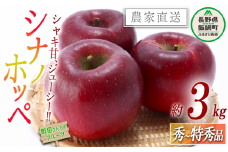 りんご シナノホッペ 秀 ～ 特秀 3kg 沖縄県への配送不可 2025年11月上旬頃から2025年12月上旬頃まで順次発送予定 町田さんちのりんご 長野県 飯綱町 [0997]