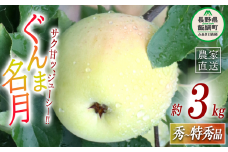 りんご ぐんま名月 秀 ～ 特秀 3kg 丸山りんご園 沖縄県への配送不可 2025年11月上旬頃から2025年12月上旬頃まで順次発送予定 令和7年度収穫分 信州 果物 フルーツ リンゴ 林檎 長野 12000円 予約 農家直送 長野県 飯綱町 [1003]