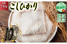 米 こしひかり 10kg ( 令和7年産 ) ヤマハチ農園 2025年11月上旬頃から順次発送予定 コシヒカリ 白米 精米 お米 信州 25000円 予約 農家直送 長野県 飯綱町 [1005]