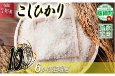 米 こしひかり 10kg × 6回 【 6か月 定期便 】( 令和7年産 ) ヤマハチ農園 2025年11月上旬頃から順次発送予定 コシヒカリ 白米 精米 お米 信州 150000円 予約 農家直送 長野県 飯綱町 [1007]