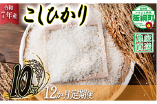 米 こしひかり 10kg × 12回 【 12か月 定期便 】( 令和7年産 ) ヤマハチ農園 2025年11月上旬頃から順次発送予定 コシヒカリ 白米 精米 お米 信州 300000円 予約 農家直送 長野県 飯綱町 [1008]
