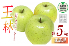りんご 王林 家庭用 5kg ヤマハチ農園 沖縄県への配送不可 2025年11月中旬頃から2025年11月下旬頃まで順次発送予定 令和7年度収穫分 BLOF理論栽培 信州 果物 フルーツ リンゴ 林檎 長野 14000円 予約 農家直送 長野県 飯綱町 [1010]