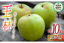 りんご 王林 訳あり 10kg ヤマハチ農園 沖縄県への配送不可 2025年11月中旬頃から2025年11月下旬頃まで順次発送予定 令和７年度収穫分 BLOF理論栽培 傷 不揃い リンゴ 林檎 果物 フルーツ 信州 長野 19000円 予約 農家直送 長野県 飯綱町 [1011]