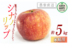 りんご 暑さに負けない シナノリップ 家庭用 5kg 大友農場 エコファーマー認定 沖縄県への配送不可 2025年8月中旬頃から2025年9月初旬頃まで順次発送予定 令和7年度収穫分 信州 果物 フルーツ リンゴ 林檎 長野 予約 農家直送 長野県 飯綱町 [1024]