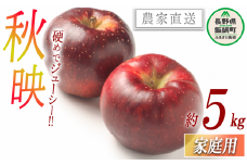 りんご 秋映 家庭用 5kg 渡辺農園 沖縄県への配送不可 2025年10月中旬頃から2025年10月下旬頃まで順次発送予定 令和7年度収穫分 エコファーマー認定 減農薬栽培 長野県 飯綱町 [1020]