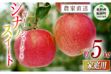 りんご シナノスイート 家庭用 5kg 渡辺農園 沖縄県への配送不可 2025年10月中旬頃から2025年11月上旬頃まで順次発送予定 令和7年度収穫分 エコファーマー認定 減農薬栽培 長野県 飯綱町 [1021]