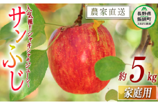 りんご サンふじ 家庭用 5kg 渡辺農園 沖縄県への配送不可 2025年12月上旬頃から2026年1月中旬頃まで順次発送予定 令和7年度収穫分 エコファーマー認定 減農薬栽培 長野県 飯綱町 [1023]