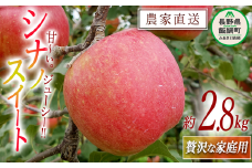 りんご シナノスイート 贅沢な 家庭用 2.8kg 信州りんご☆小山園☆ 沖縄県への配送不可 2025年10月中旬頃から2025年10月下旬頃まで順次発送予定 令和7年度収穫分 エコファーマー認定 小山園 信州 果物 フルーツ リンゴ 林檎 長野 11000円 予約 農家直送 長野県 飯綱町 [1057]